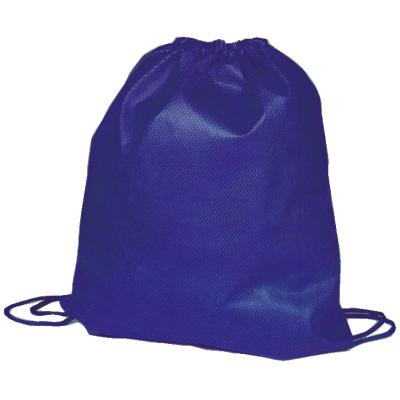 Image of Rainham Drawstring Bag