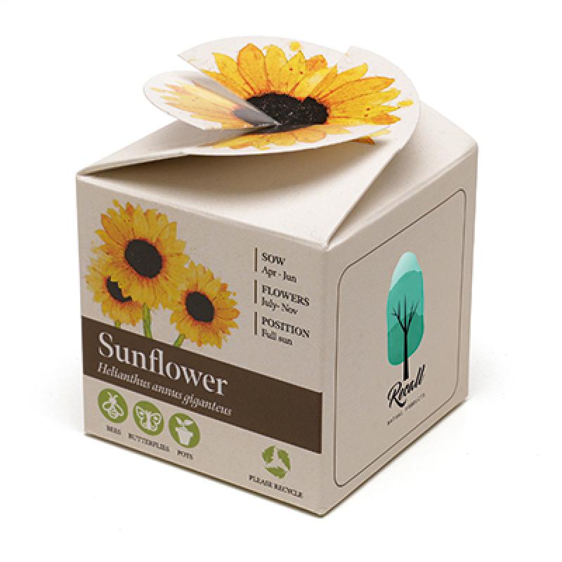 Image of Mini Box Seed Kit